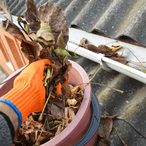Cleaning Leaves From the Rain Gutters